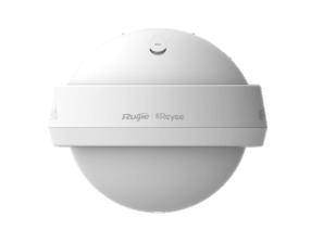 RG-RAP6262